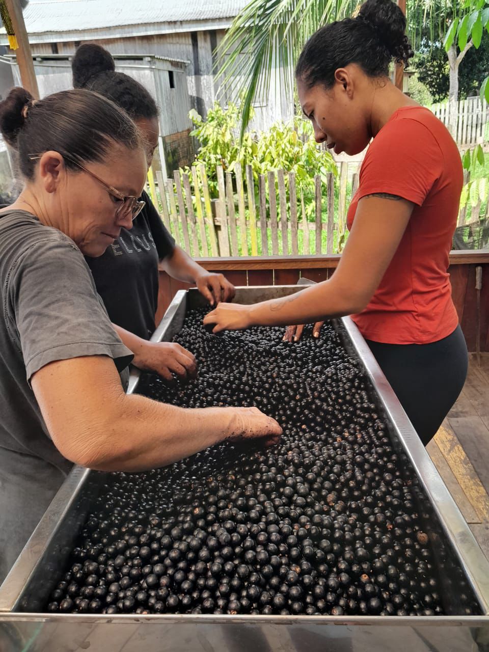 WhatsApp Image 2025-10-21 at 12.30.26 (1).jpeg